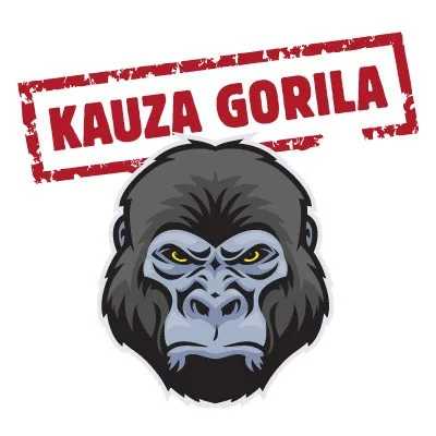 Kauza GORILA Penta poslala list vyšetrovateľom: Nahrávky, ktoré sa našli u Kočnera, chce zničiť | Topky.sk