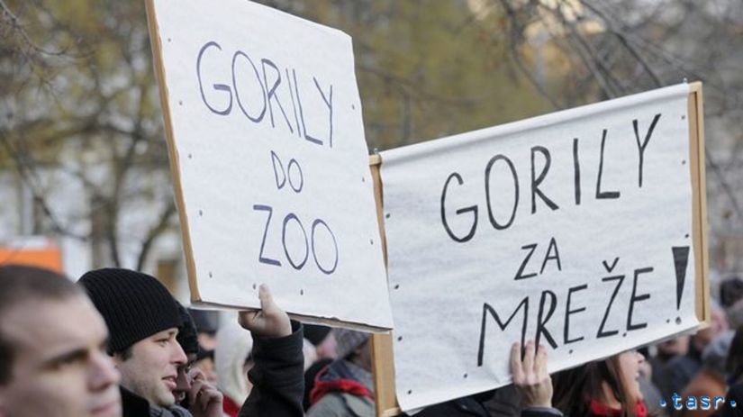 V kauze Gorila začali štyri nové trestné stíhanie - Domáce - Správy - Pravda.sk
