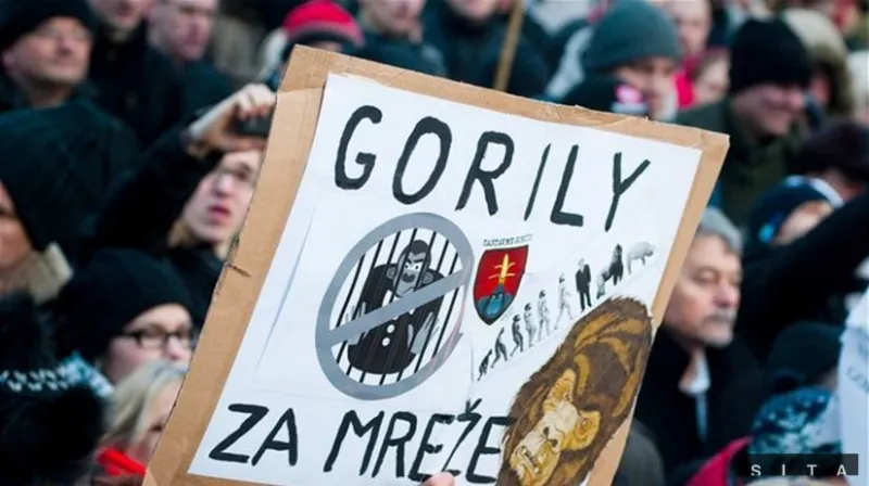 Veľké množstvo faktov z kauzy Gorila sa potvrdilo - Domáce - Správy - Pravda.sk