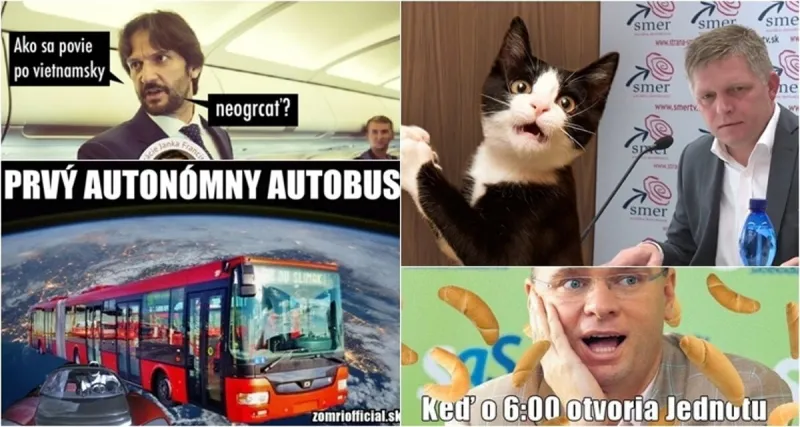 Čo fičalo pred rokom: Ficov vtip o mačke aj únos Vietnamca - fici.sme.sk