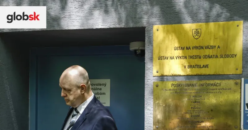 ONLINE Sylvia Volzová pred súdom: Pod oknom mi stáli zvláštne autá, zastrašovali ma | Glob.sk