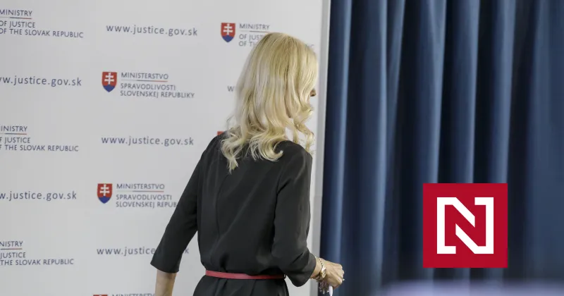 Policajný tím Hmla pracuje na mobilnej komunikácii Jankovskej aj sudcov – Denník N