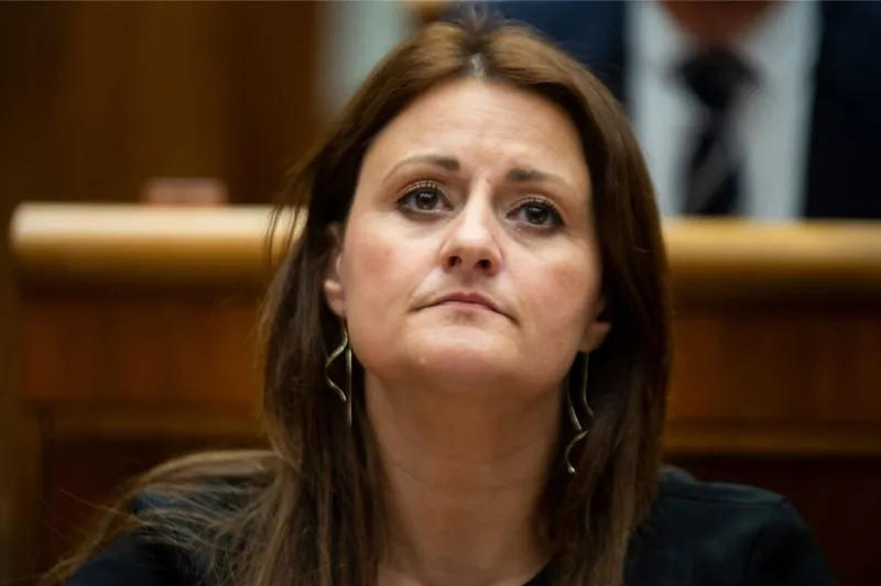 Blahovú zažalovali chovanci aj riaditeľ Čistého dňa - SME