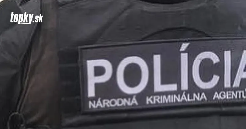 Vyšetrovanie prípadu poisťovne Rapid life: V skupine je sedem členov a dvaja nadriadení | Topky.sk