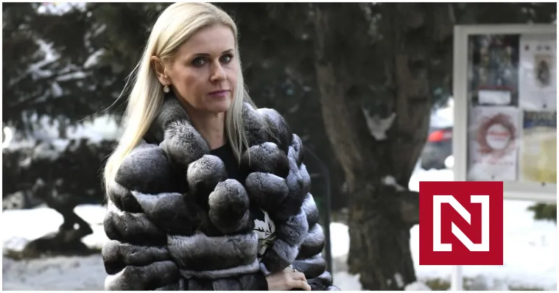 Súdna rada sa rozhýbala, chce zasiahnuť voči sudcom z Kočnerovej Threemy a pozrieť im aj na majetok – Denník N