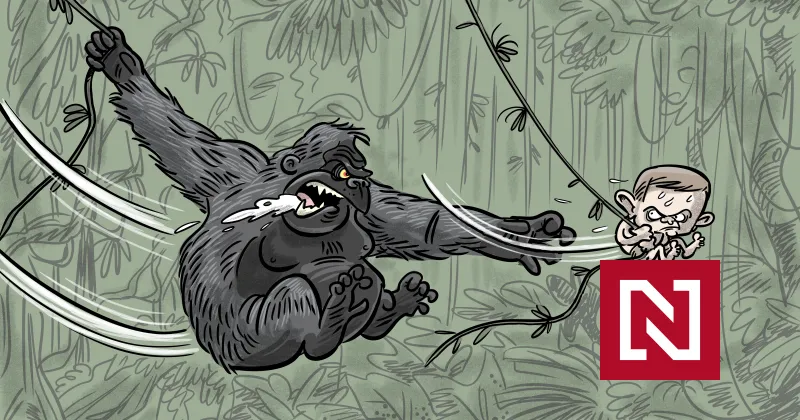 V prípade vraždy Kuciaka a Kušnírovej ide vypovedať Haščák, Kočnerov bankár – Denník N