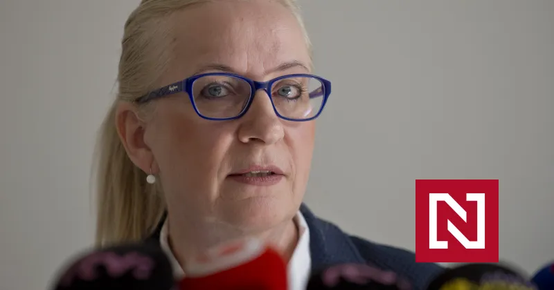 Aj Čistý deň je Kočnerov svet – Denník N