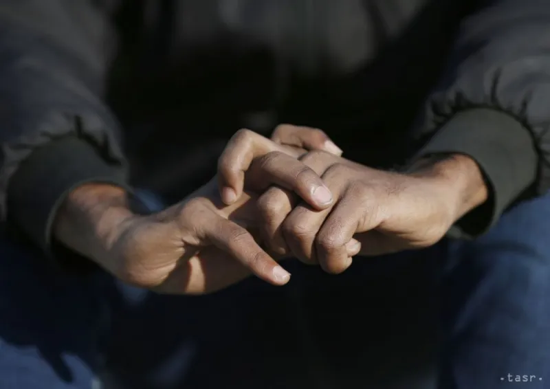 Na severozápade Čiech objavili v kamióne osem migrantov