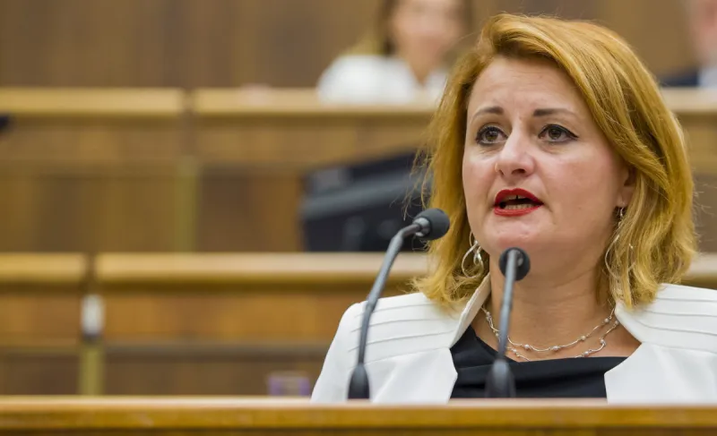 Exposlankyňa Blahová čelí žalobe za údajné poškodenie mena otganizácie Čistý deň - SME