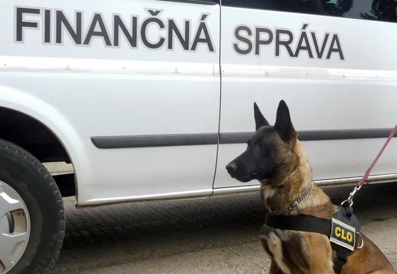 Colníci pri výcviku psov pri Bergu objavili päť migrantov - SME