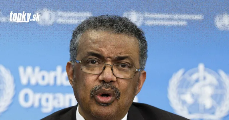 KORONAVÍRUS Experti WHO navštívili nemocnicu, kde liečili prvých pacientov | Topky.sk