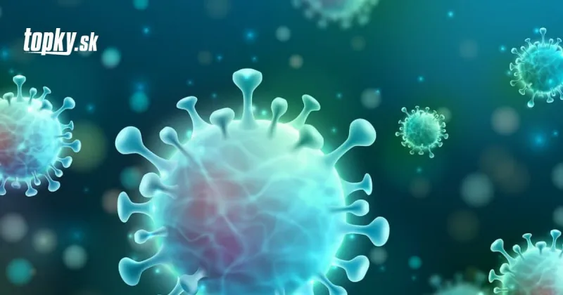 KORONAVÍRUS ECDC nemá z členských krajín dostatok údajov o pandémii, hovorí ombudsmanka EÚ | Topky.sk