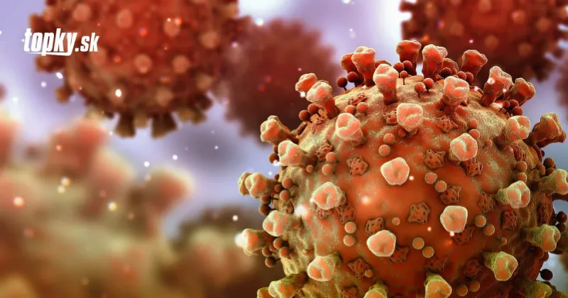 KORONAVÍRUS Pandémia mení stravovacie návyky Slovákov: Zdravá strava je pre nich dôležitejšia | Topky.sk