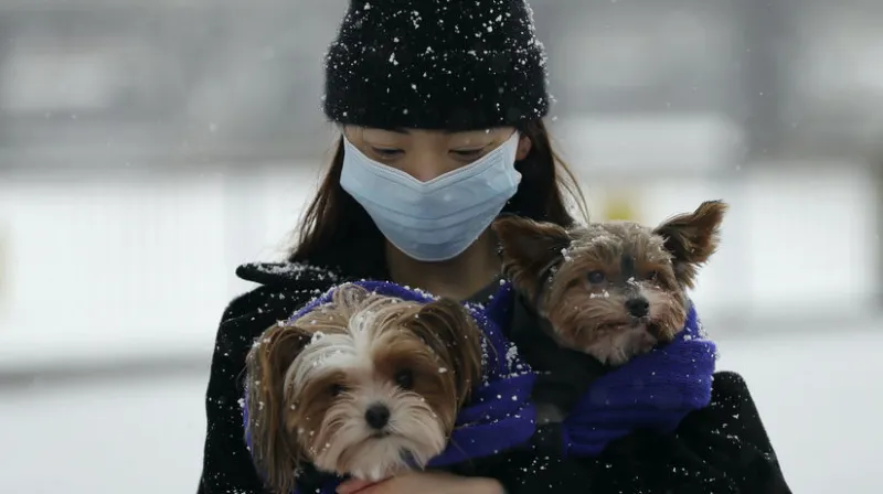 ONLINE: Európu strašia koronavírusové mutácie - Domáce - Správy - Pravda.sk