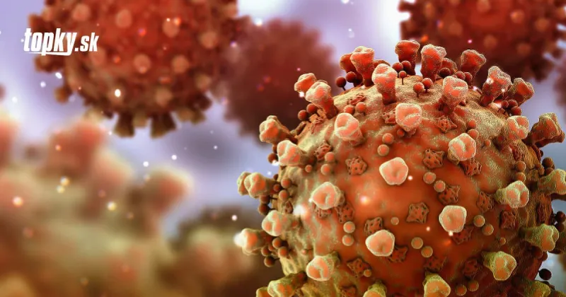 KORONAVÍRUS Bez preukazu ani krok: Maďarsko zavedie doklad o ochrane pred SARS-CoV-2 | Topky.sk