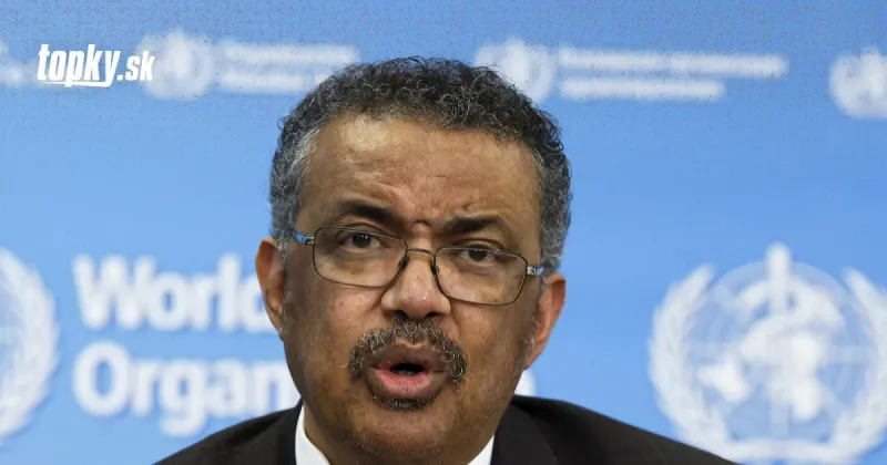 KORONAVÍRUS Misia WHO vo Wu-chane bola úspešná: Pomohla pochopiť počiatky pandémie | Topky.sk