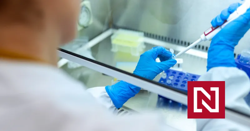 Molnupiravir zabral aj v ľudských pľúcach, môže zmeniť celú hru. Päť rýchlych správ o koronavíruse – Denník N