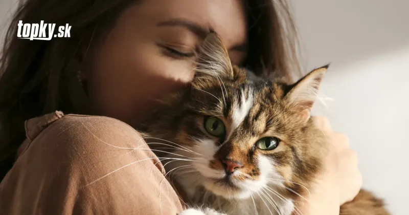 KORONAVÍRUS Zverolekári varujú: Nemaznajte sa s mačkou, keď ste v karanténe! | Topky.sk