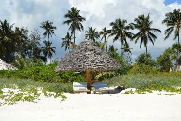 V Česku potvrdili juhoafrickú mutáciu koronavírusu! Dotiahli ju zrejme dovolenkári zo Zanzibaru | Dnes24.sk