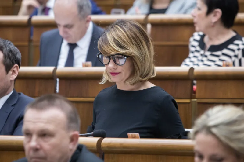 Nicholsonová novú vládu nepodporí: Výhrady má voči Richterovi i Matečnej | Topky.sk