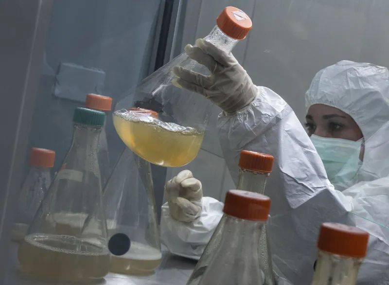Na Slovensku našli v šiestich vzorkách juhoafrický variant koronavírusu - SME