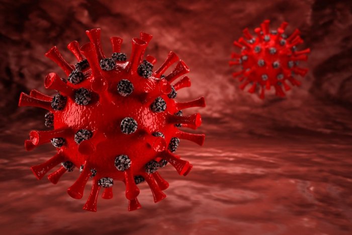 Na Slovensku potvrdili 7 prípadov juhoafrickej mutácie nového koronavírusu! | Dnes24.sk