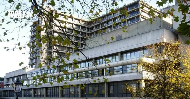 Sporná prelomová štúdia: Dobrovoľníci sa nechajú nakaziť KORONAVÍRUSOM, lekári varujú! | Topky.sk