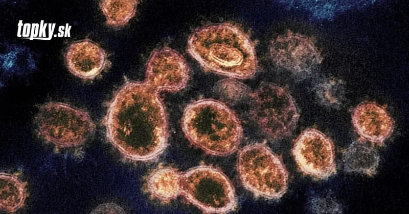 V Taliansku objavili ďalšiu mutáciu KORONAVÍRUSU: Táto ešte v Európe nebola | Topky.sk