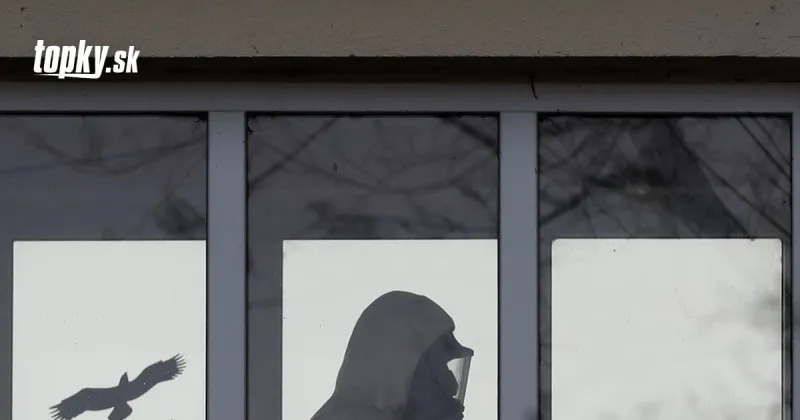 KORONAVÍRUS Správa, ktorá nepoteší: Česko upravilo dáta, rekord v počte hospitalizovaných! | Topky.sk