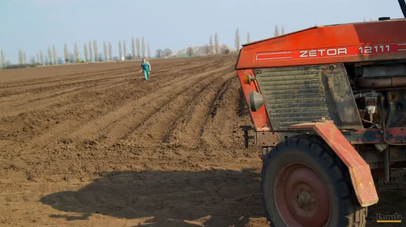 Kto a za čo má na východe agrodotácie - Ekonomika - Správy - Pravda.sk