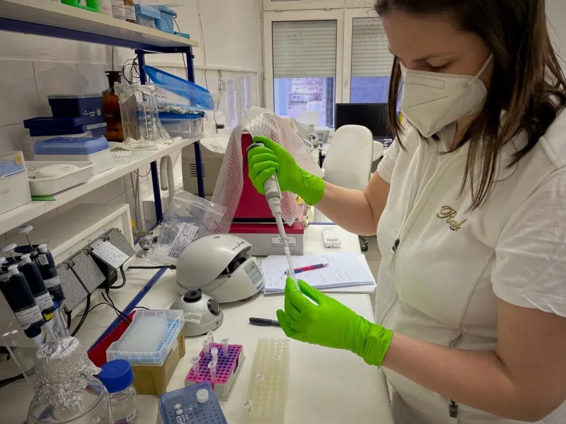 Koronavírus: Putin diskutoval s Merkelovou a Macronom o Sputniku V (minúta po minúte) - SME