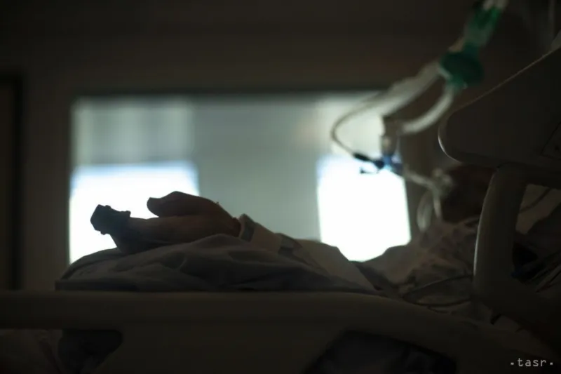 WHO odporúča nepoužívať ivermektín na liečbu pacientov s koronavírusom