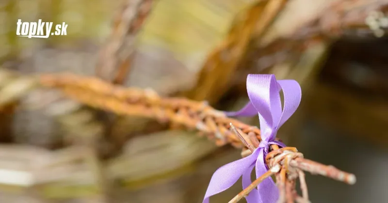 KORONAVÍRUS Odborníci odporúčajú cez Veľkú noc obmedziť stretnutia a odložiť šibačku | Topky.sk