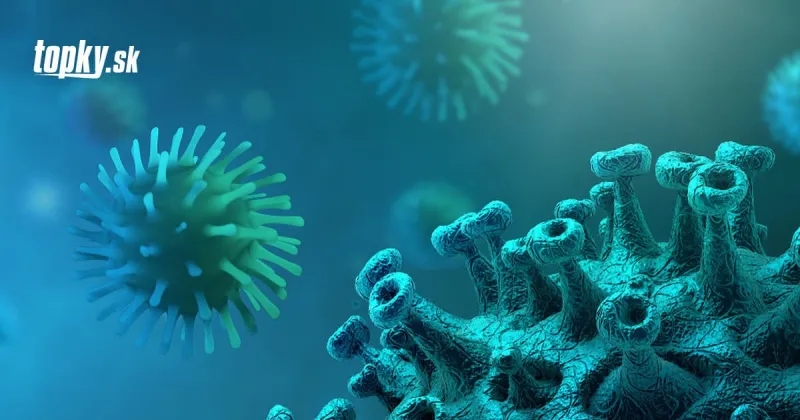 KORONAVÍRUS Kritická situácia na Ukrajine: Pribudlo najviac infikovaných od začiatku pandémie | Topky.sk