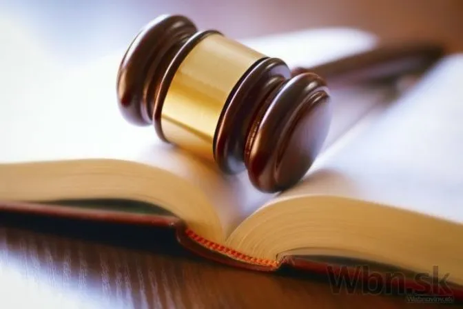 Deviatich obvinených piťovcov ponechali na slobode - Webnoviny.sk