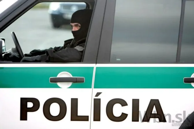 Časť zadržaných piťovcov prepustili, aj syna podnikateľa - Webnoviny.sk