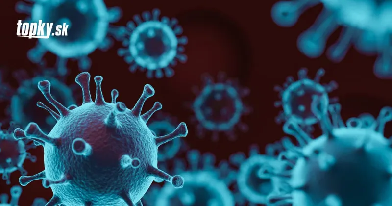 Zlá správa od susedov: Zistili prvé prípady nebezpečného variantu KORONAVÍRUSU, obávajú sa ďalšej vlny | Topky.sk
