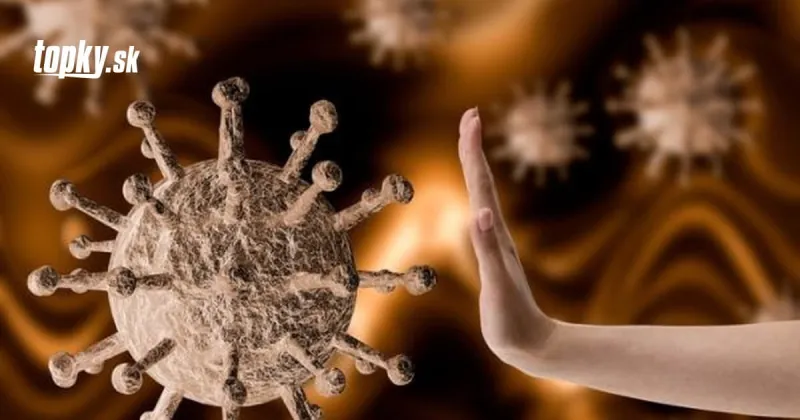 KORONAVÍRUSOVÁ epidémia vypukla už pred 20-tisíc rokmi: Čo vedci zistili z genetickej skladby? | Topky.sk