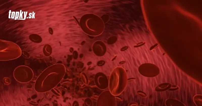 Vedci rozlúštili jednu z najväčších záhad KORONAVÍRUSU: TOTO je príčina dlhodobého Covidu! | Topky.sk