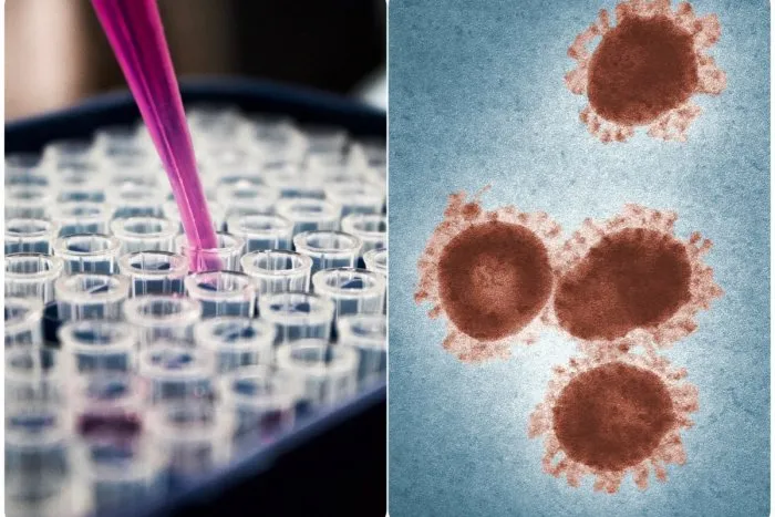 Vedci varujú: Koronavírus vyčíňal už pred 20-tisíc rokmi a nemohli sa ho dlho ZBAVIŤ!