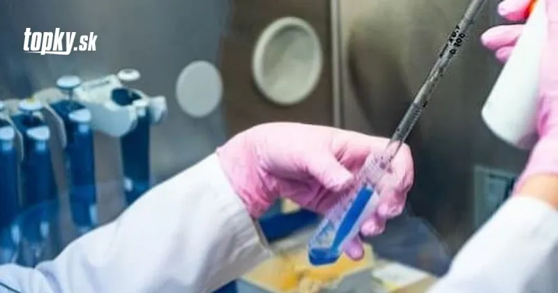 Vedcom sa podaril obrovský objav: Prelomový krok smerom k liečbe KORONAVÍRUSU! | Topky.sk