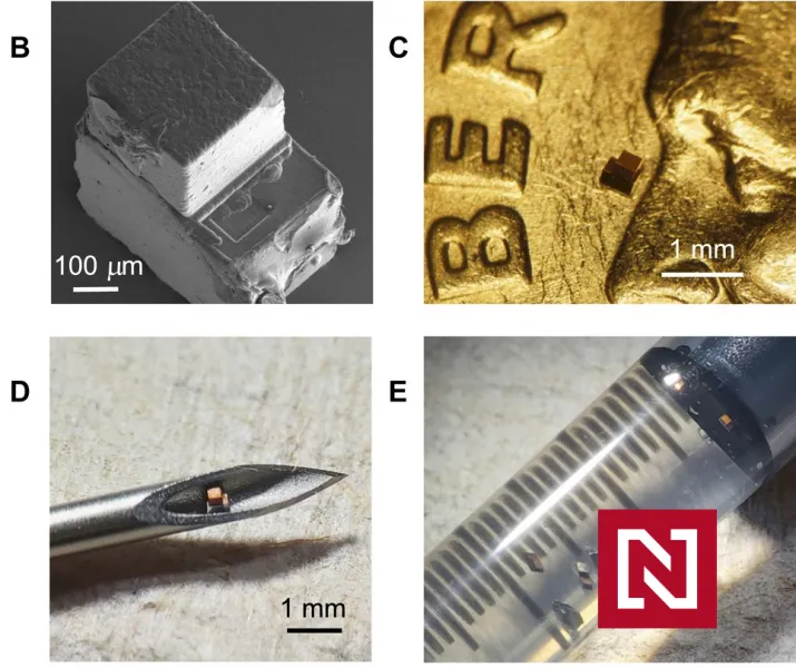 tl;dr: Ako dostať čip do koronavírusovej vakcíny? – Denník N