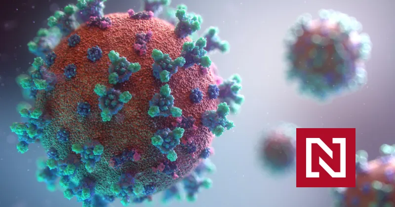 Nobelista a&nbsp;jeho tím: Koronavírus má prirodzený pôvod, ľudstvu hrozia ďalšie pandémie