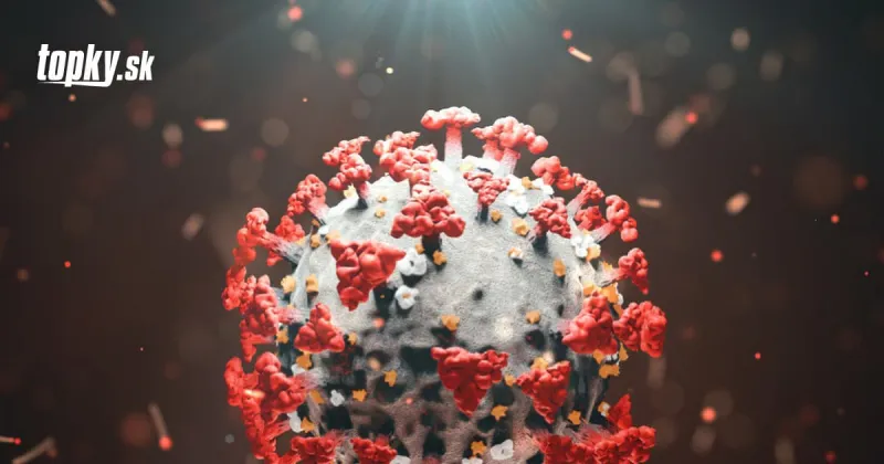 Konzílium odborníkov varuje pred treťou vlnou KORONAVÍRUSU: Politikov vyzýva na zodpovednosť | Topky.sk
