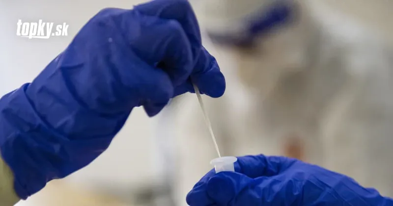 KORONAVÍRUS Analytik sa obáva, že plánované dobrovoľné samotestovanie nezafunguje | Topky.sk