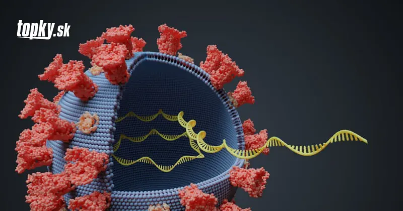 KORONAVÍRUS Dobré správy: WHO vidí stabilizáciu v počte nových prípadov | Topky.sk