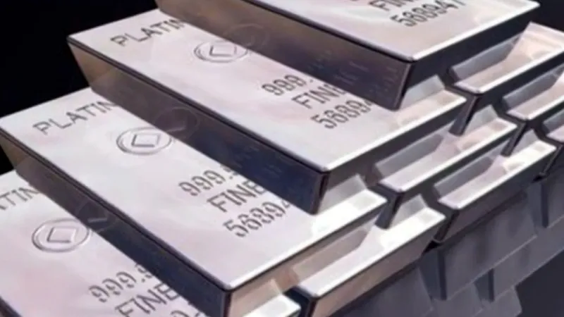 Platinové sitká spôsobili štátu škodu za 2 milióny eur