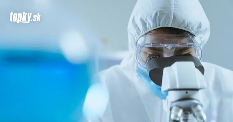 Kde sa vlastne vzal KORONAVÍRUS? Francúzski vedci pokročili s výskumom, možno majú odpoveď | Topky.sk