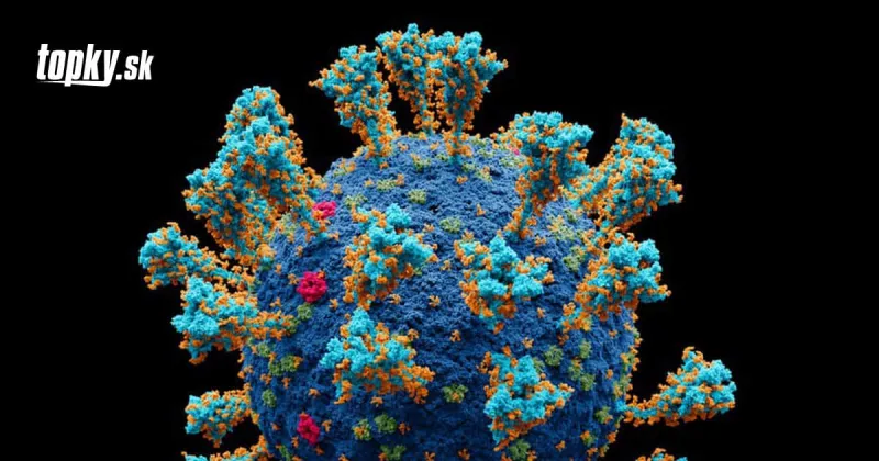 Budú vznikať aj ďalšie nebezpečné varianty KORONAVÍRUSU? Vedkyňa má jasnú ODPOVEĎ! | Topky.sk