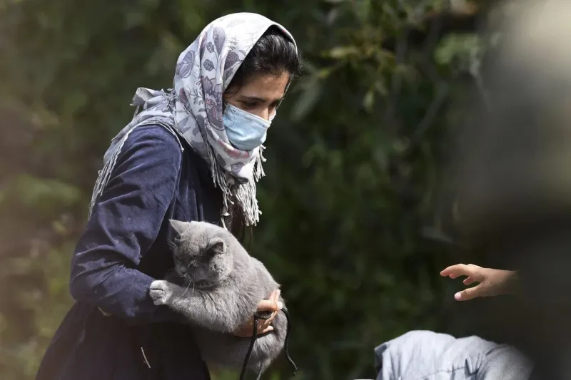 Amnesty International upozorňuje: Poľsko nezákonne poslalo skupinu migrantov späť cez bieloruské hranice | Nový Čas